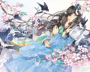 老镖客城中村在线观看